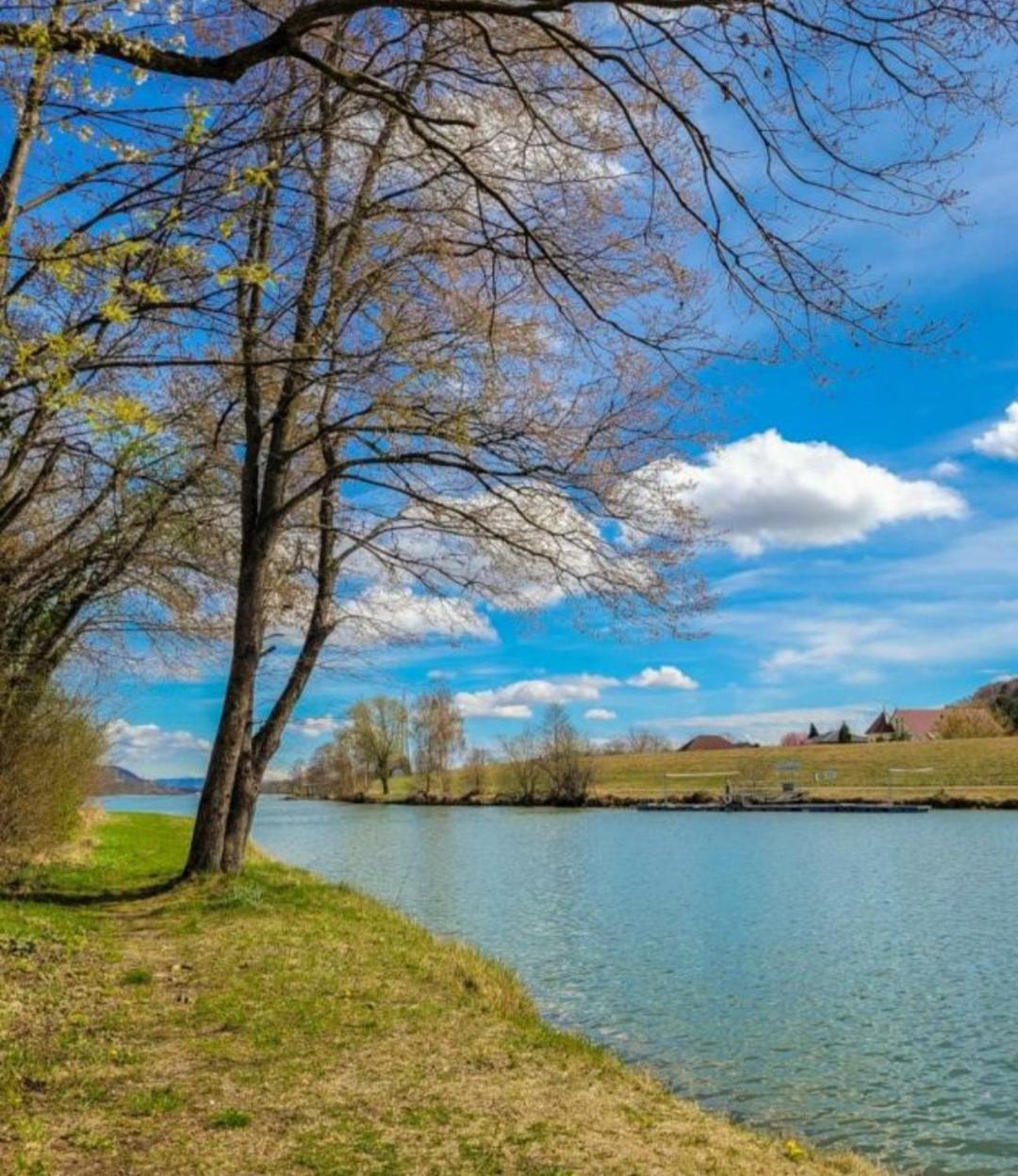 Apartment An Der Donau Krumnussbaum Εξωτερικό φωτογραφία